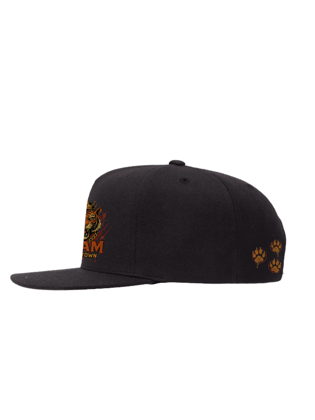 INAM "Chi-Town King" Snapback Cap